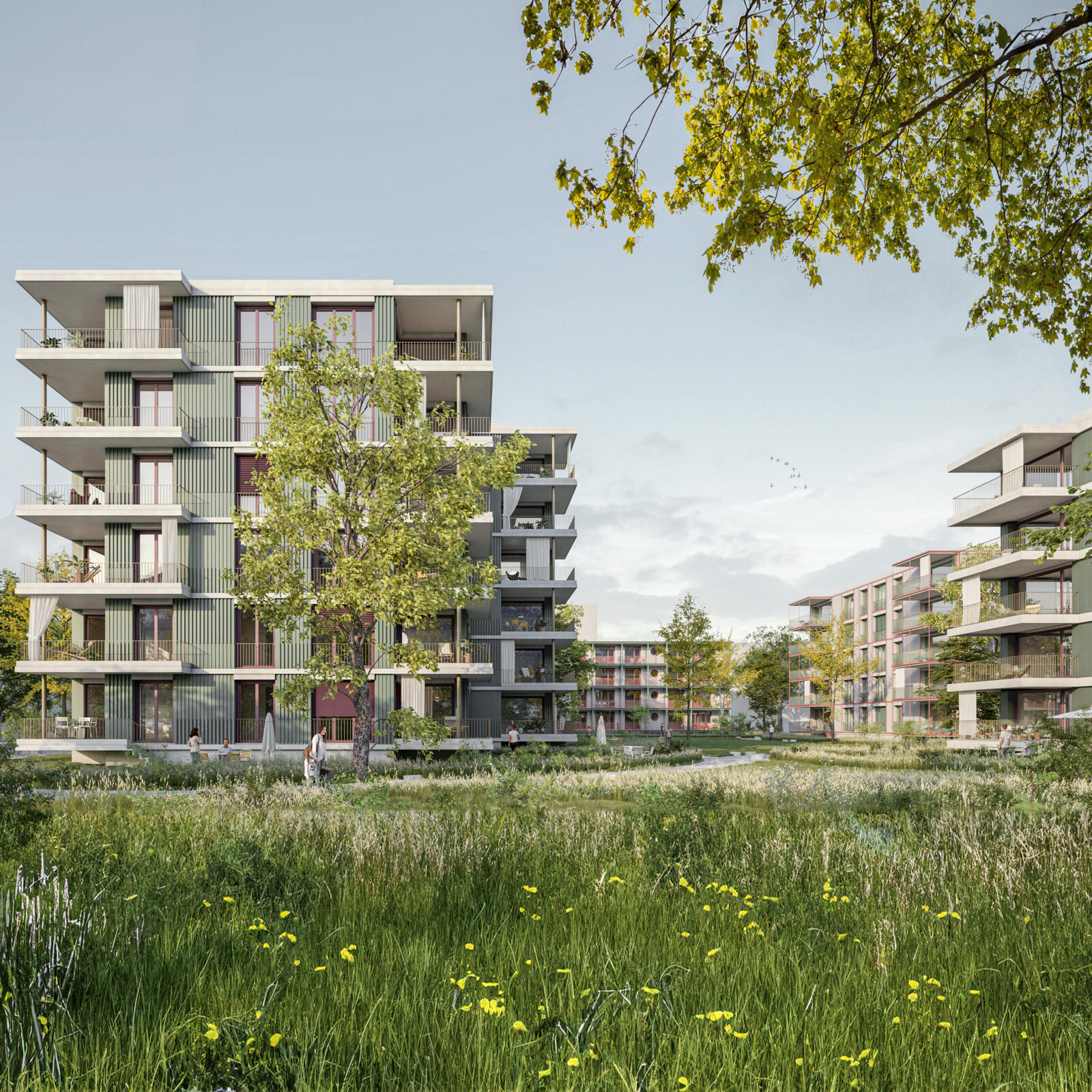 1. Preis Studienauftrag Riverside Living 3